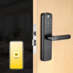 Zuri S Black